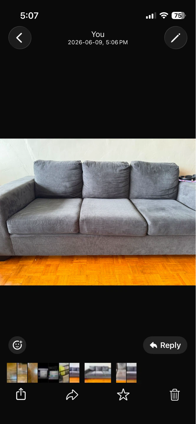 Grey Sofa - photo 3