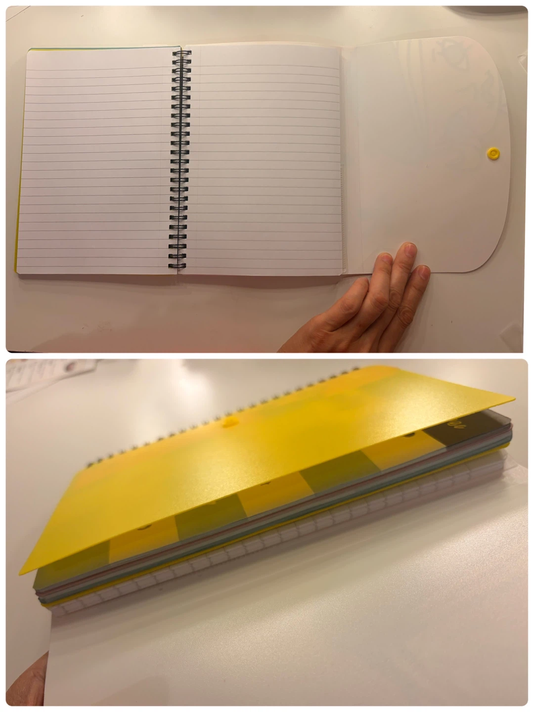 Molly the Painter Spiral Notebook & Calendar - photo 4