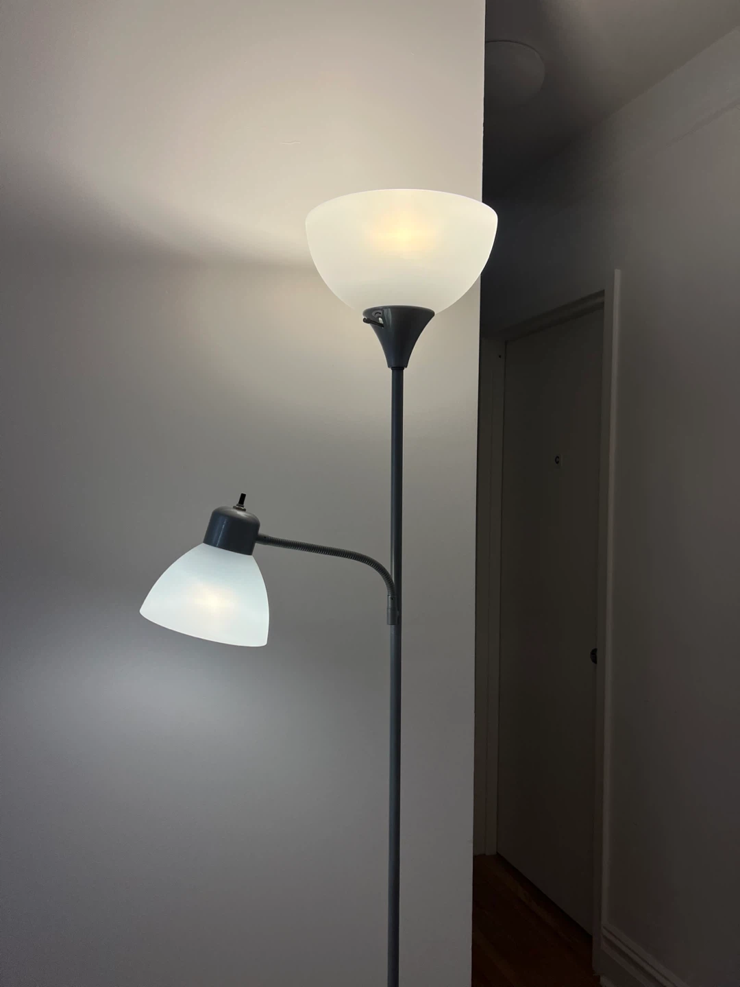 Dual Head Floor Lamp