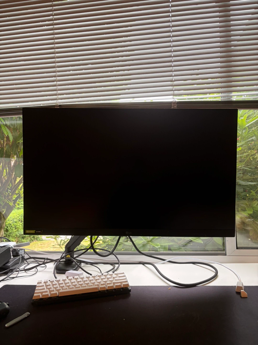 LG Monitor