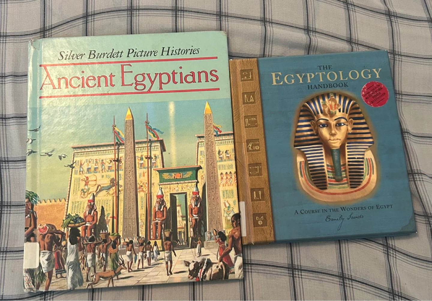 Ancient Egyptians & The Egyptology Handbook Books