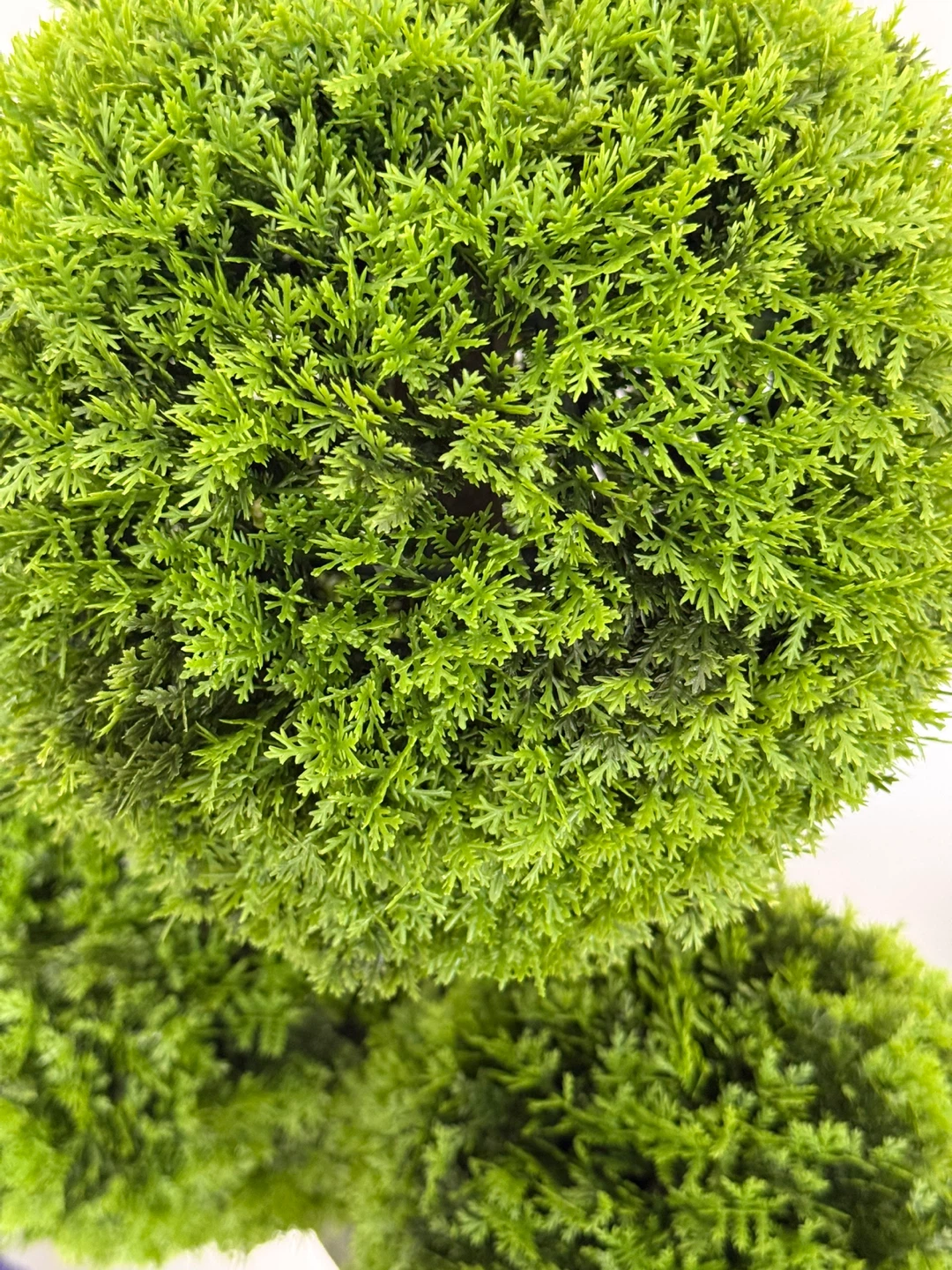 Artificial Topiary Trees (12 lavender & 2 five-tier cedars) - photo 4