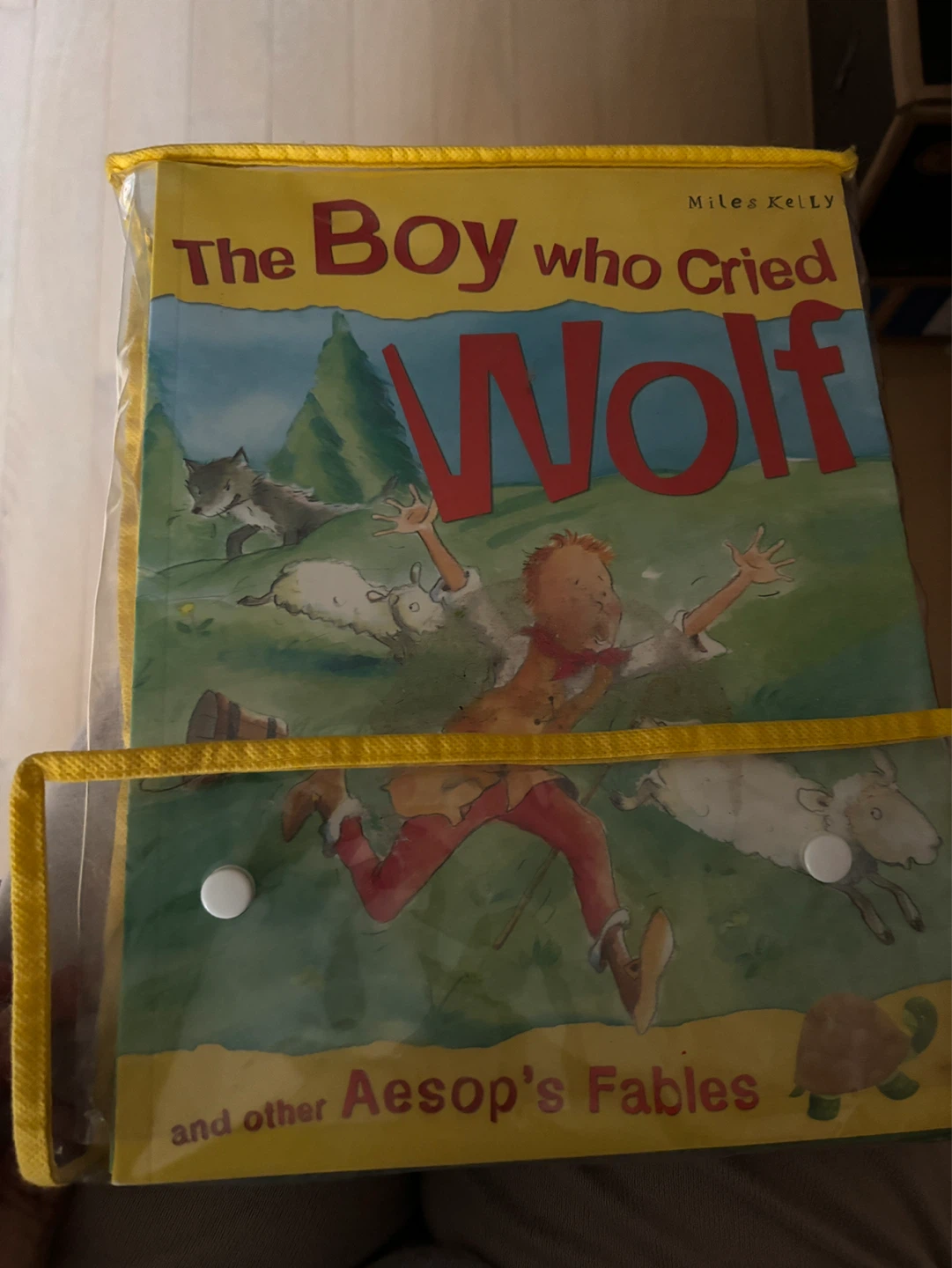Collection of Aesop's Fables Picture Books - photo 2
