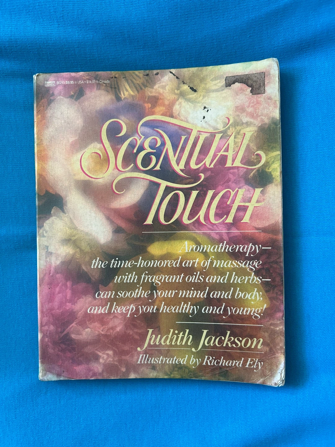 Scentual Touch by Judith Jackson Paperback Book
