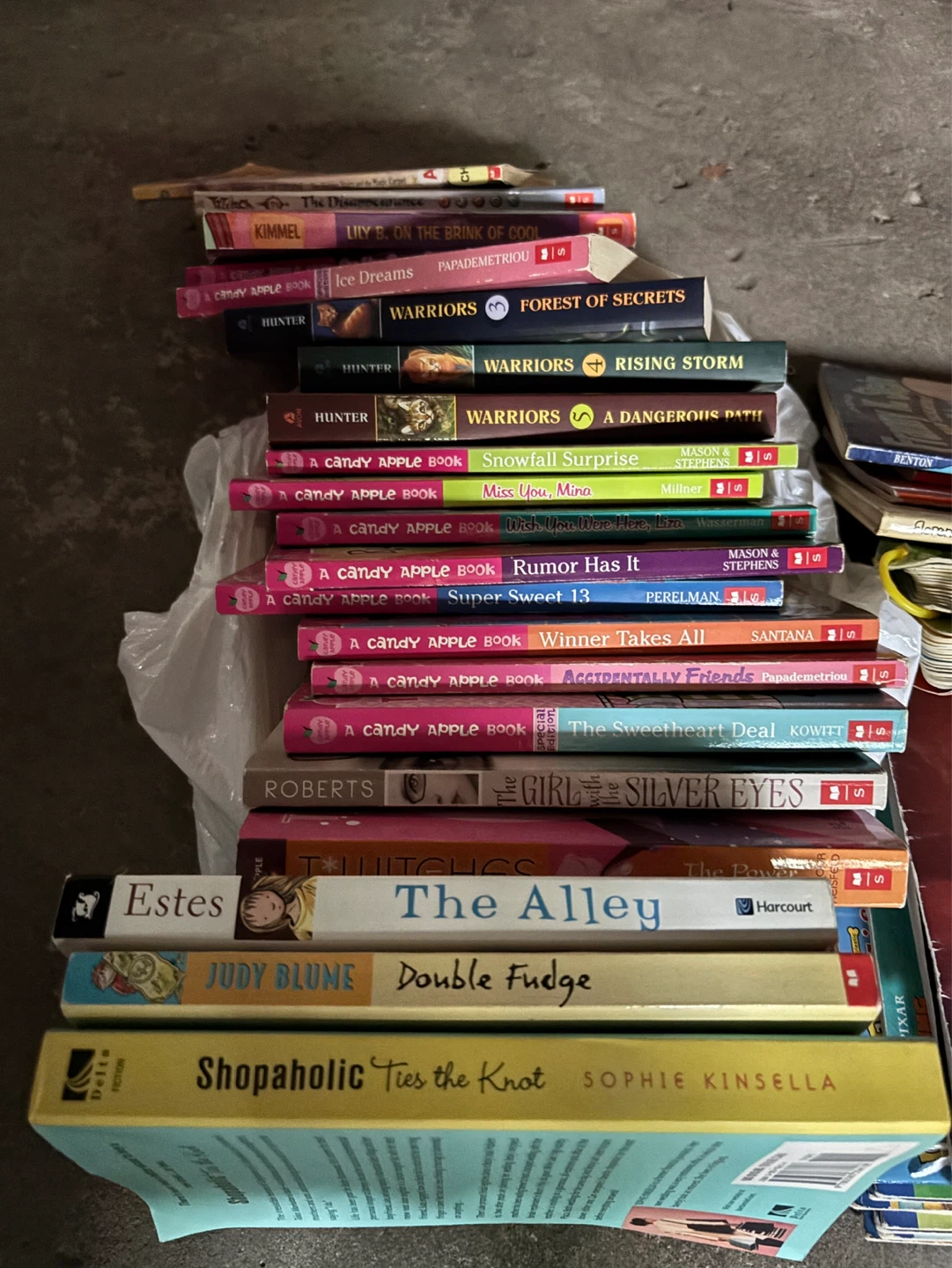 Bundle of Youth Chapter books