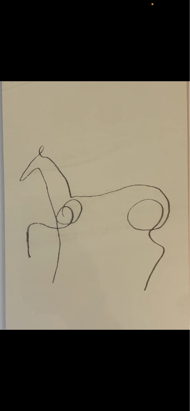 Framed Picasso Animals Line Drawings Set - photo 5