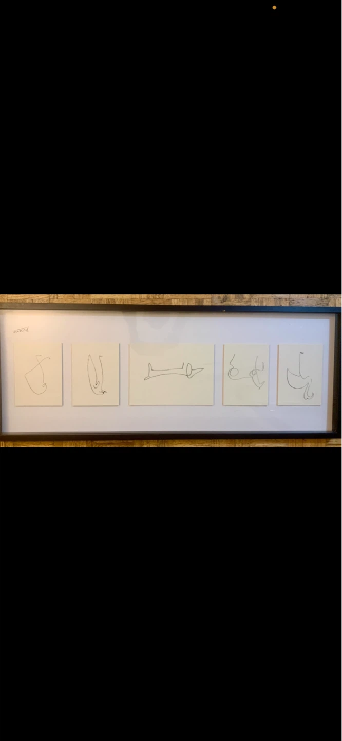 Framed Picasso Animals Line Drawings Set