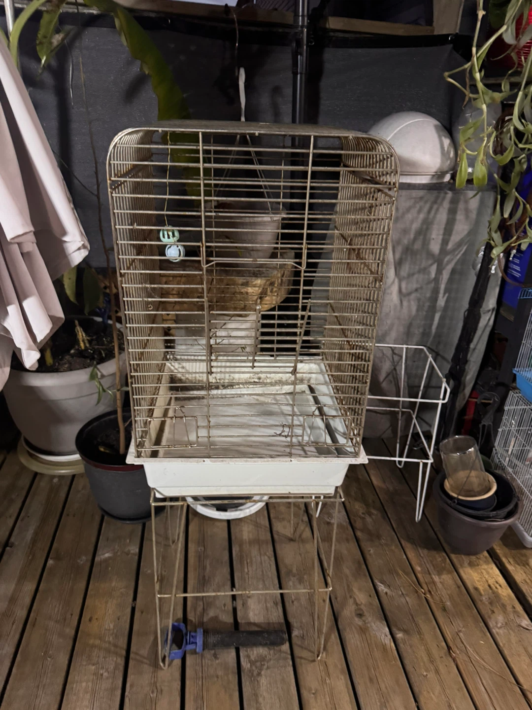 Bird Cage with Stand