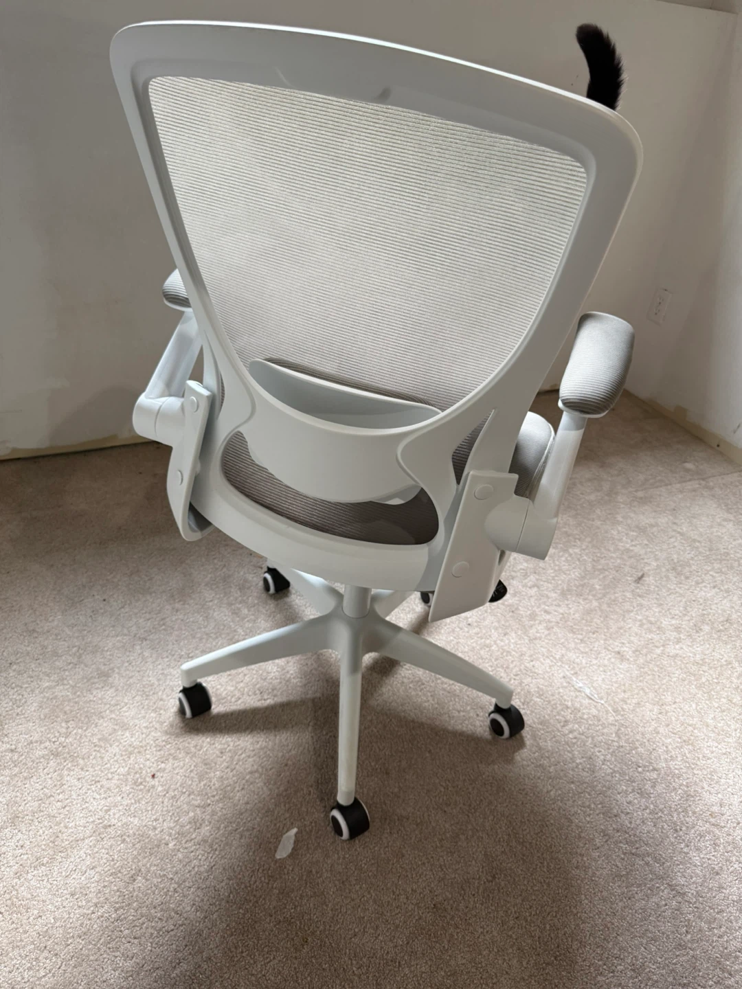 Ergonomic Mesh Office Chair