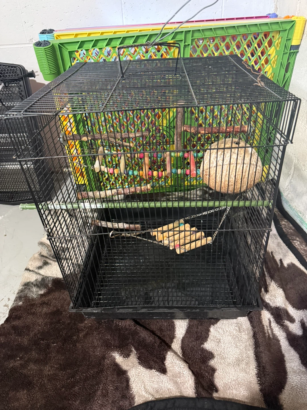 Black Bird Cage with Accessories