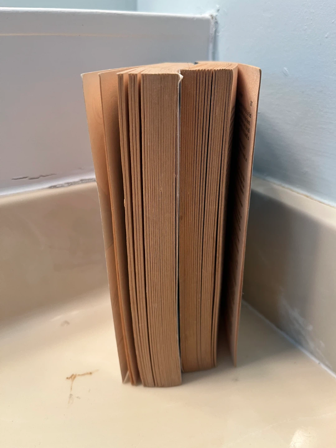 Icerigger and Mission to Moulokin Paperback Books - photo 4