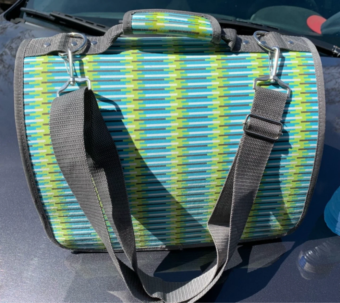 Small Pet Carrier
