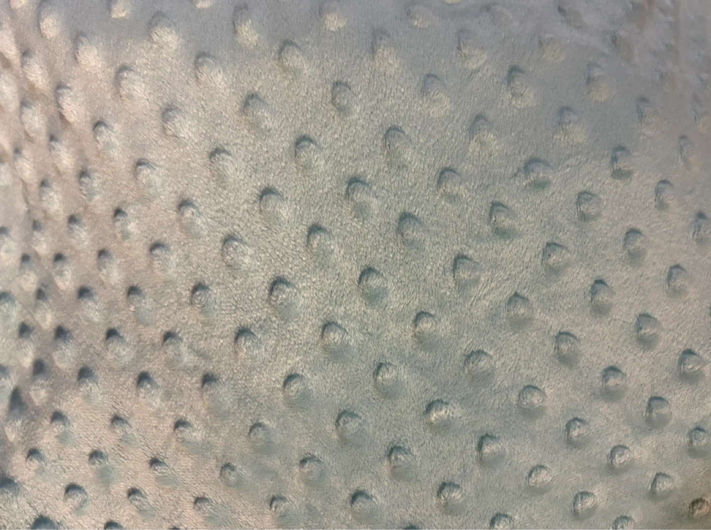Soft Minky Fabric Blanket