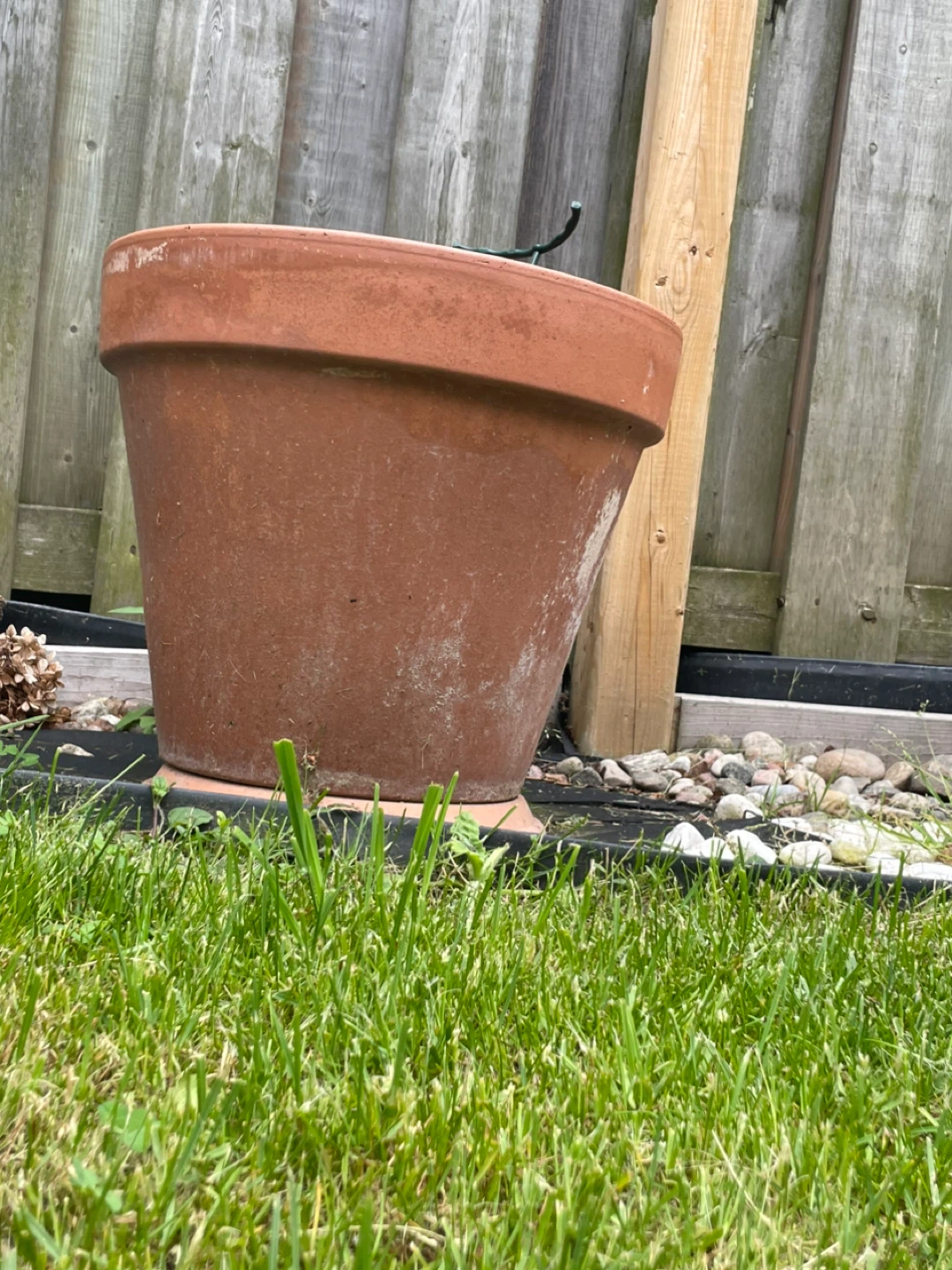 Terracotta Plant Pot - photo 2