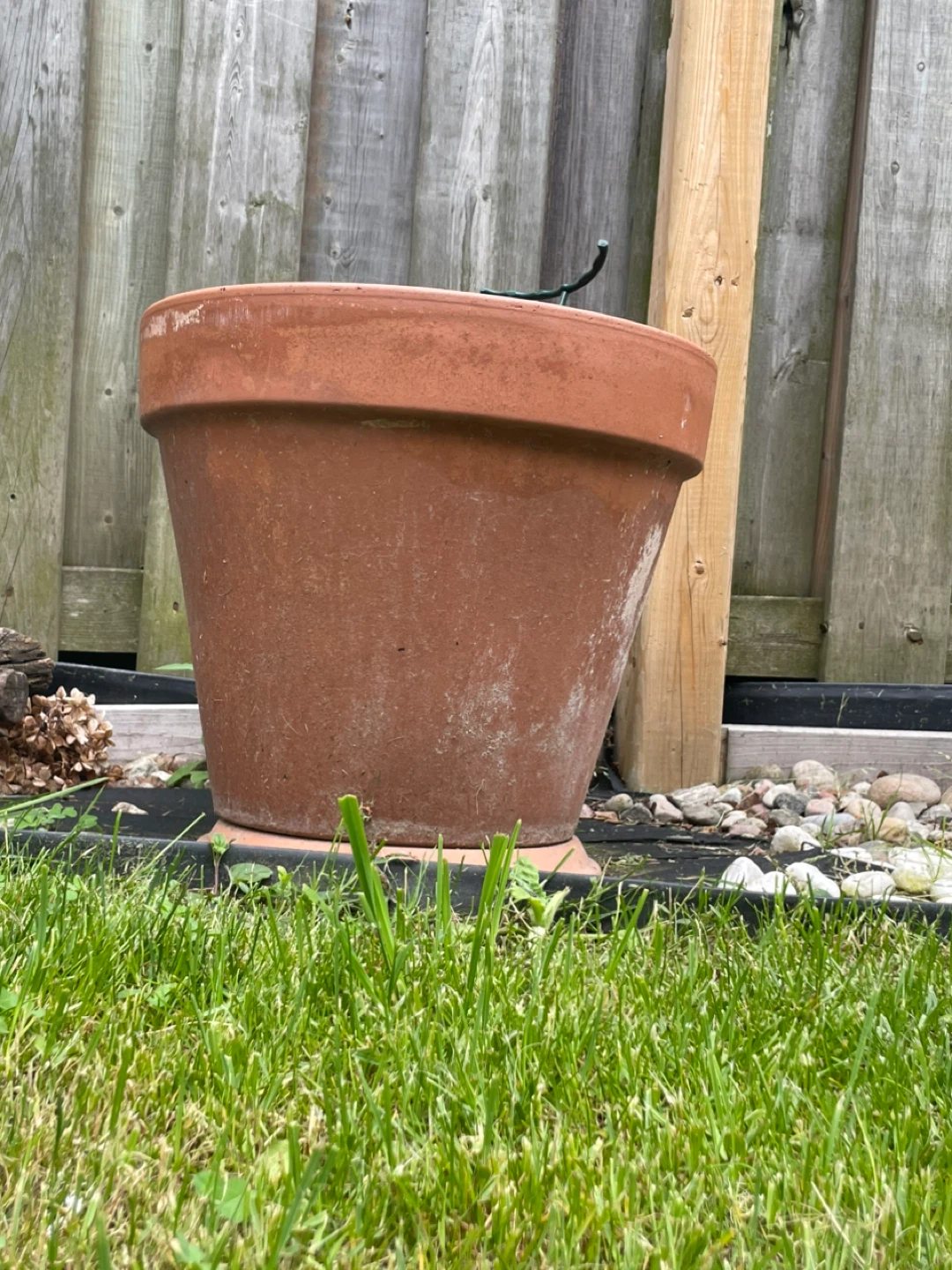 Terracotta Plant Pot