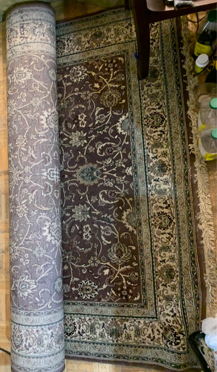 Area Rug with Oriental Pattern I paid 199 plus tax - photo 3