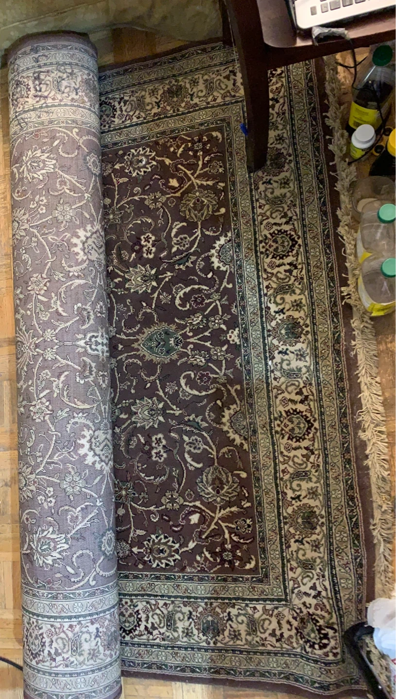 Area Rug with Oriental Pattern I paid 199 plus tax - photo 2