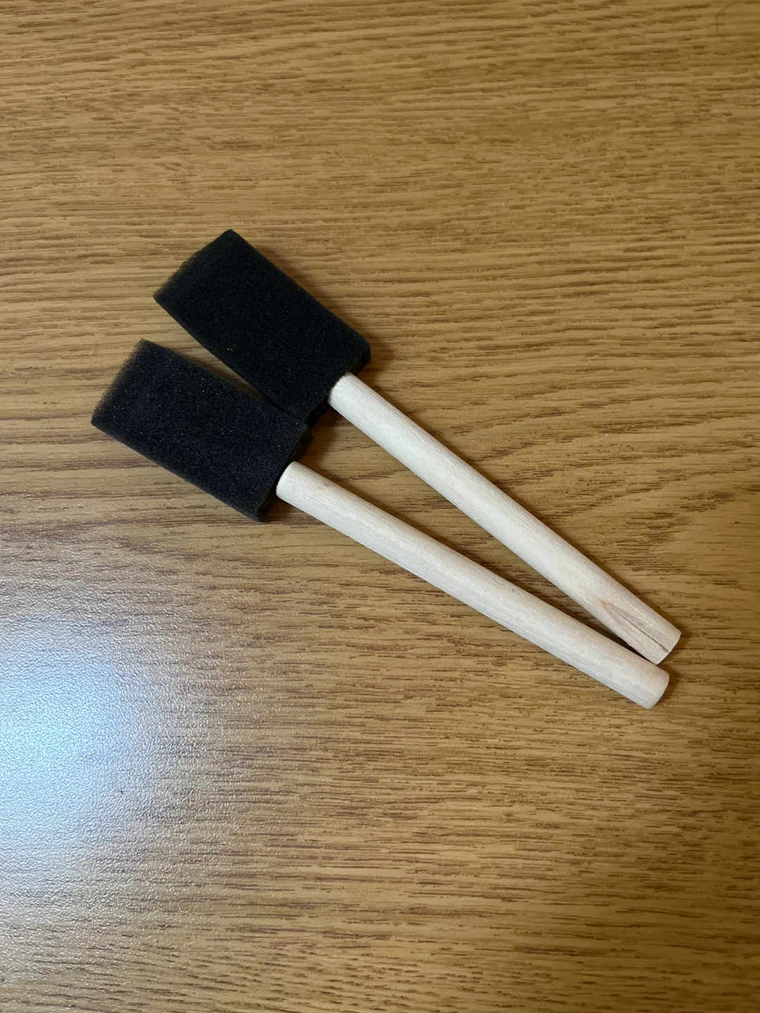 Foam paint brushes (set of 2)