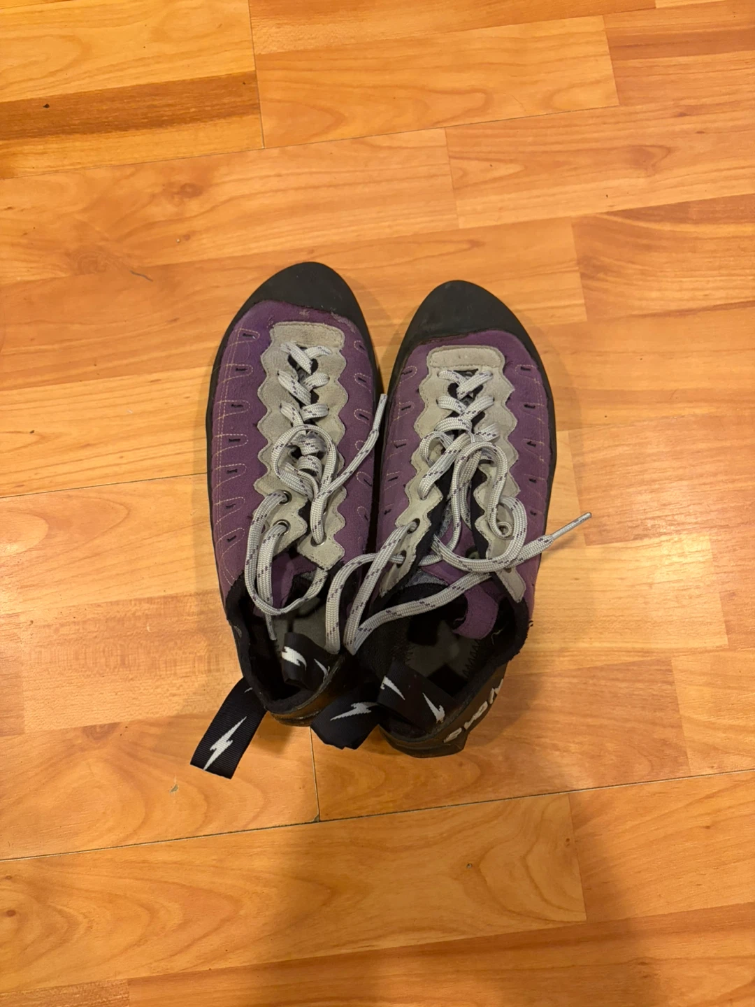 Evolve Climbing Shoes