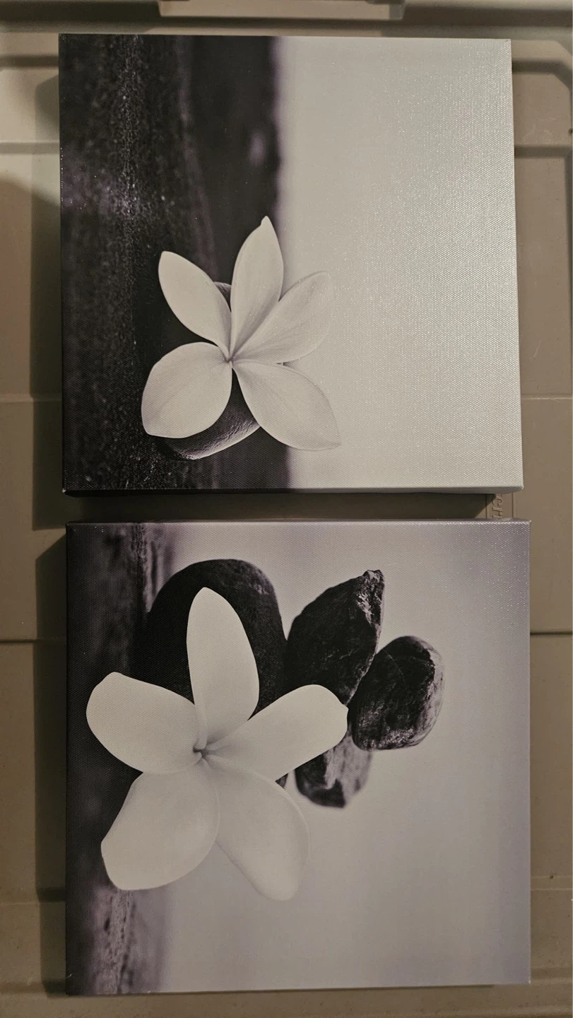 Black and White Flower Canvas Wall Art Set (10 inch by 10 inch)