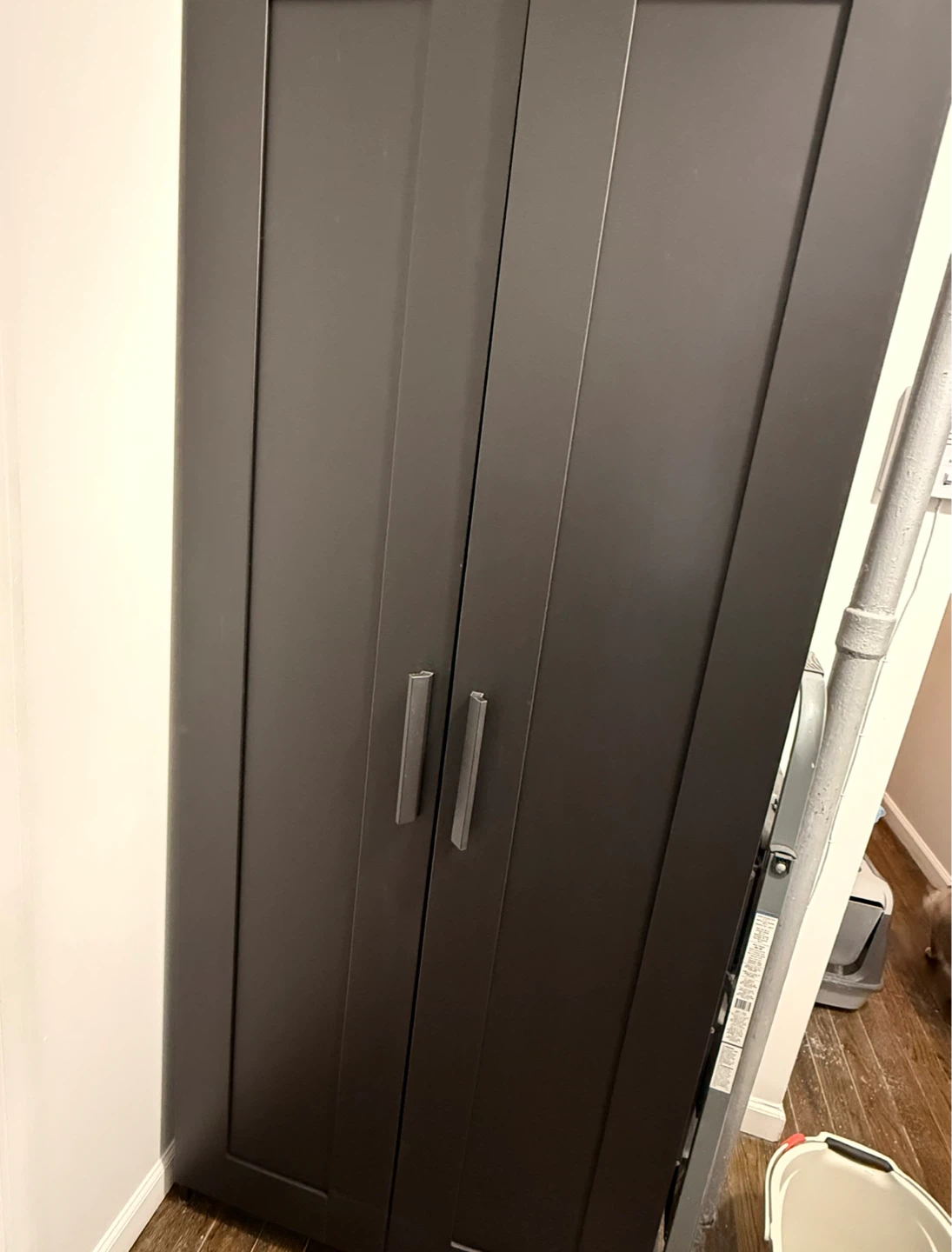 Dark Gray Double Door Storage Cabinet - photo 2