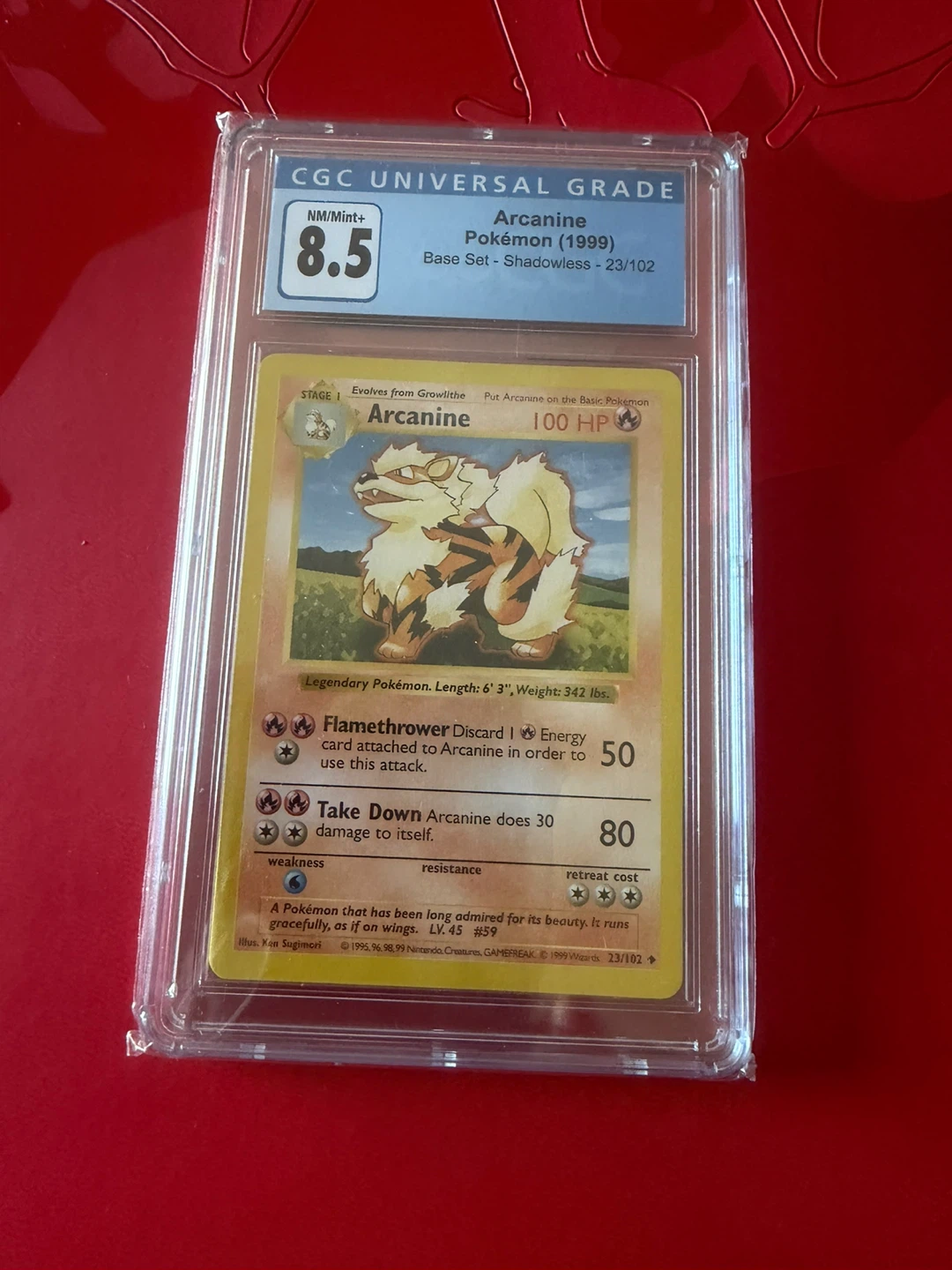 Pokémon Trading Cards- slabbies & loose Japanese cards - photo 4