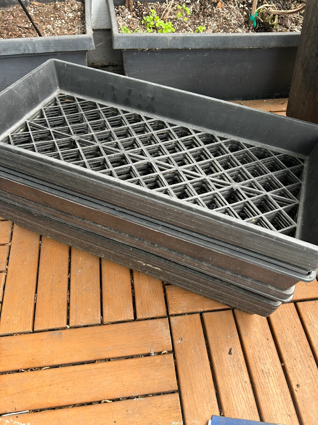 Stack of 21 Black Plastic Seedling Trays