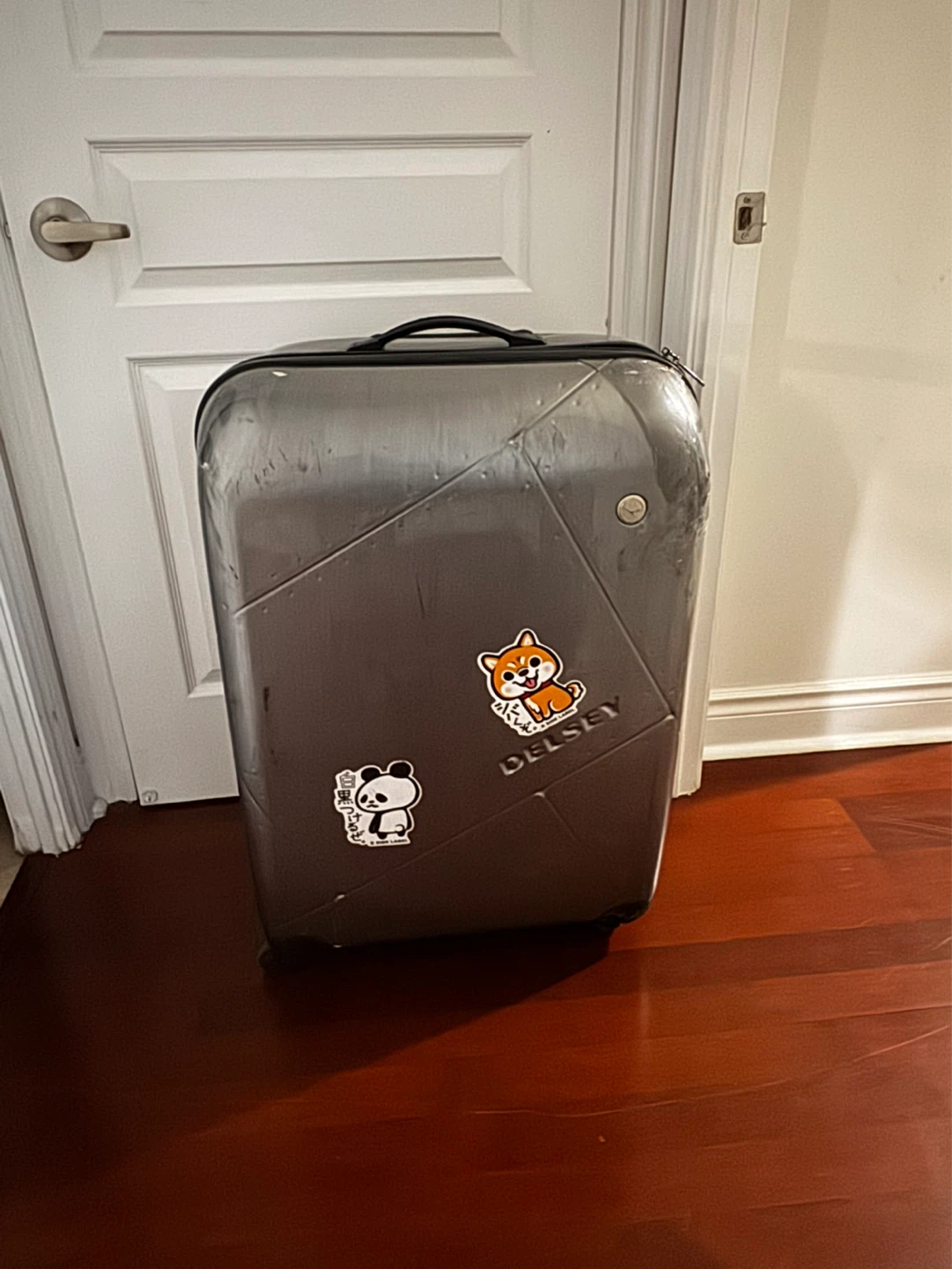 Delsey Silver Hardside Spinner Luggage