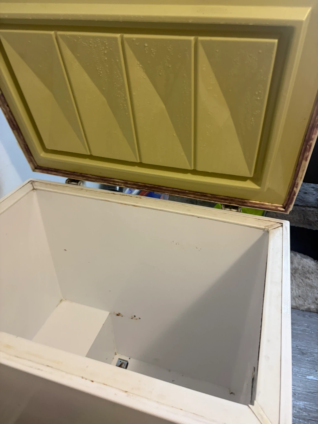 Viking Chest Freezer