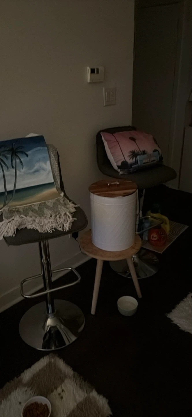 Two bar stools