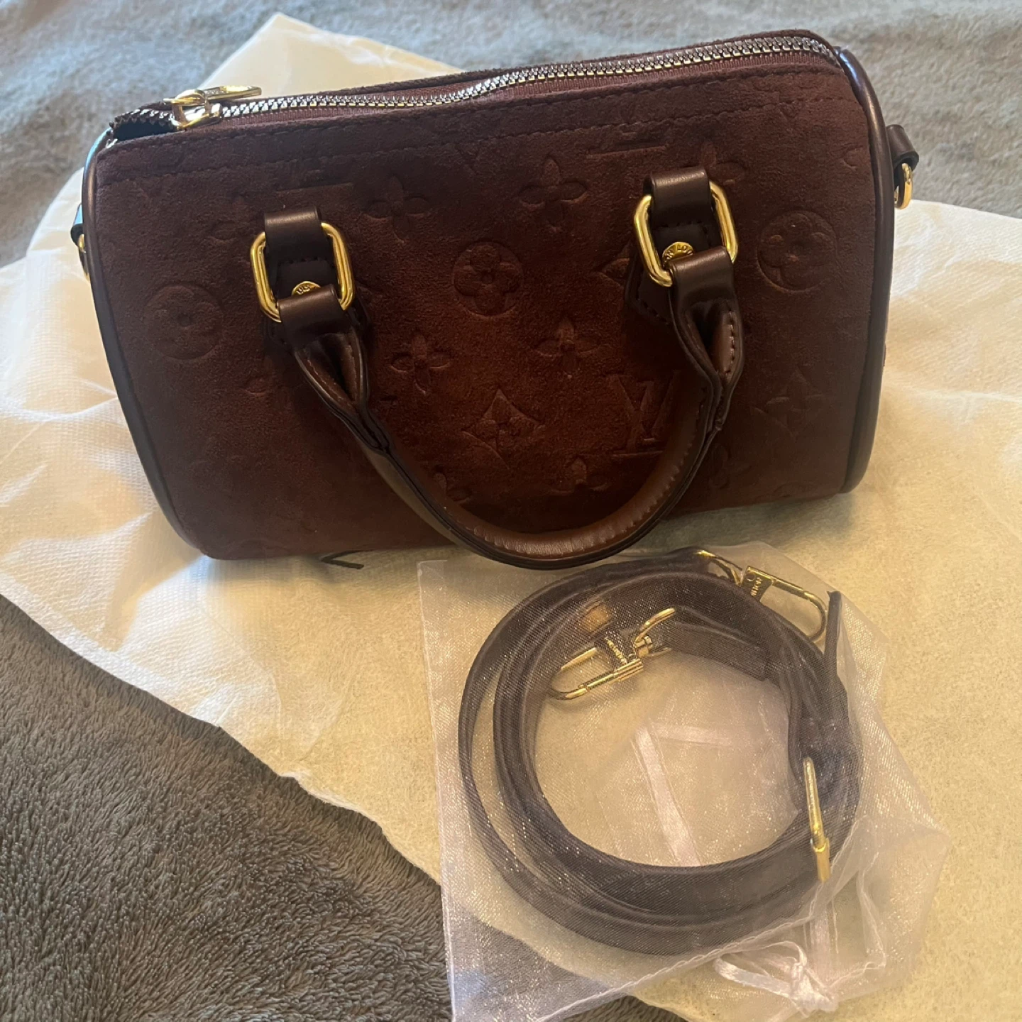 Speedy Nano Monogram Suede Bag