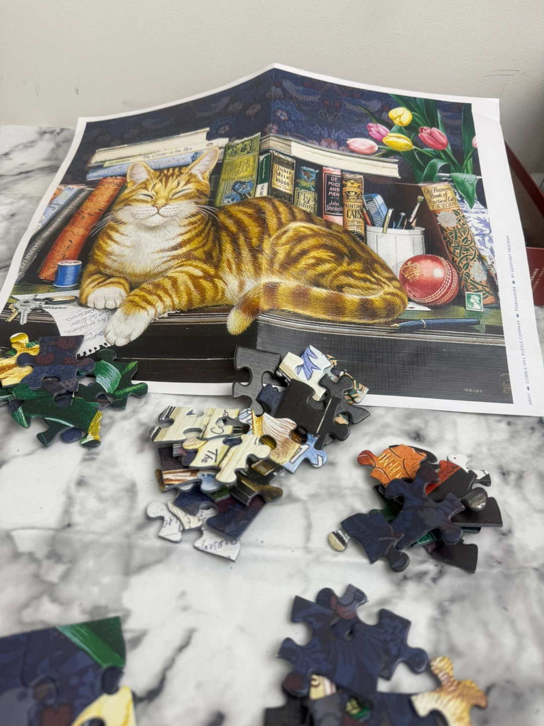 Cobble Hill 275 Piece Large Piece Jigsaw Puzzle