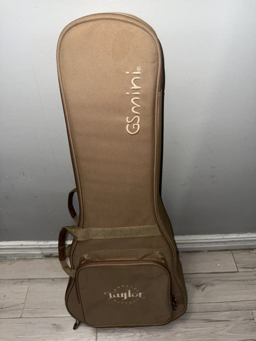 Taylor GSmini Guitar Case