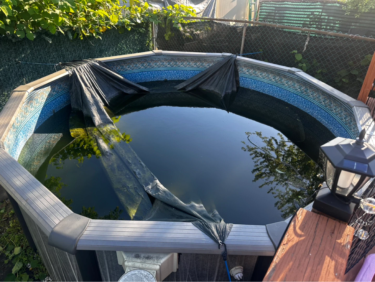 Above Ground Swimming Pool - photo 2