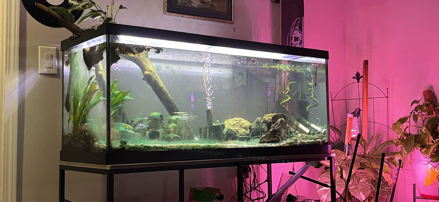 Aquarium