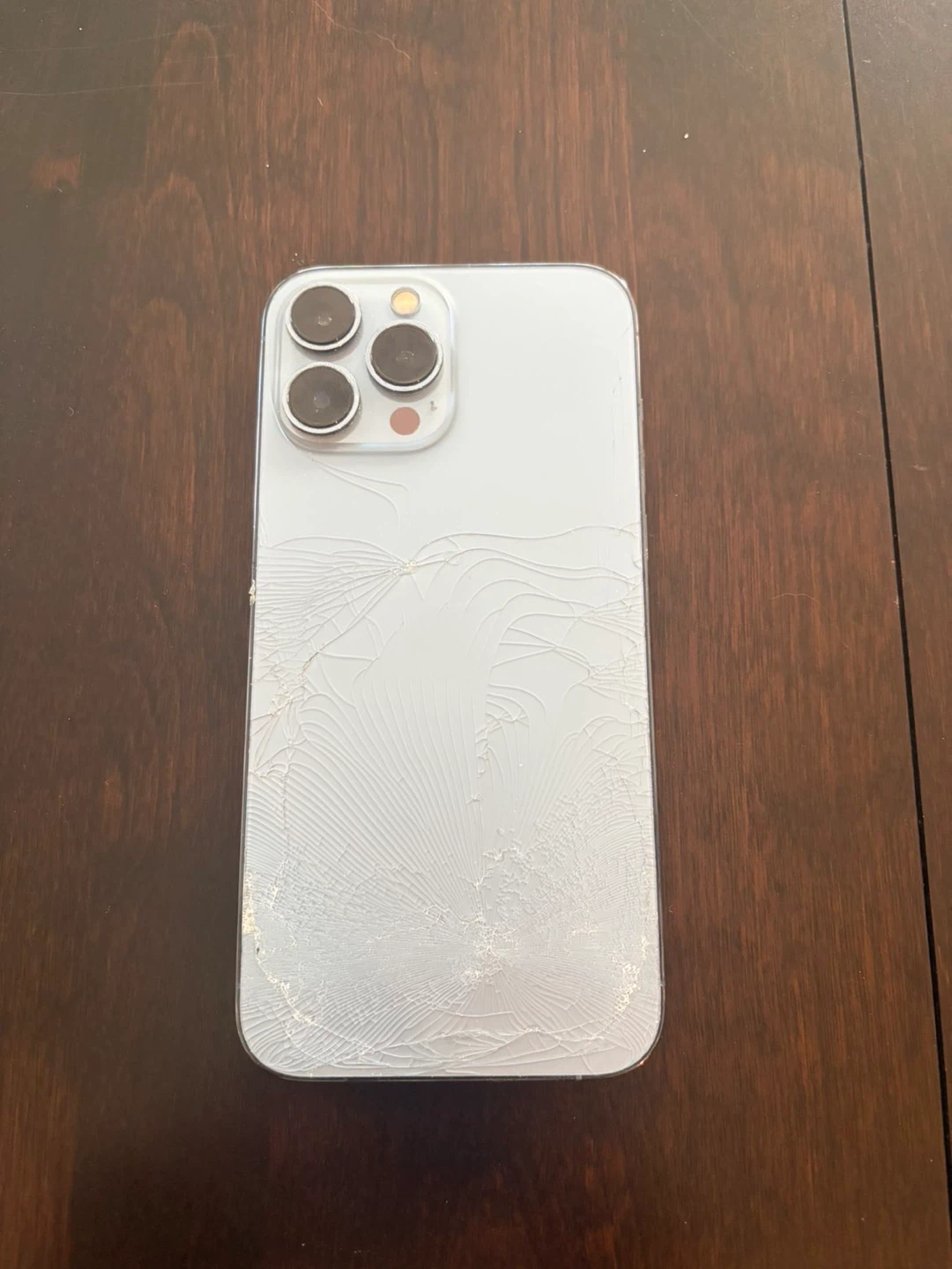 Apple iPhone 13 Pro Max- Terabyte of Storage