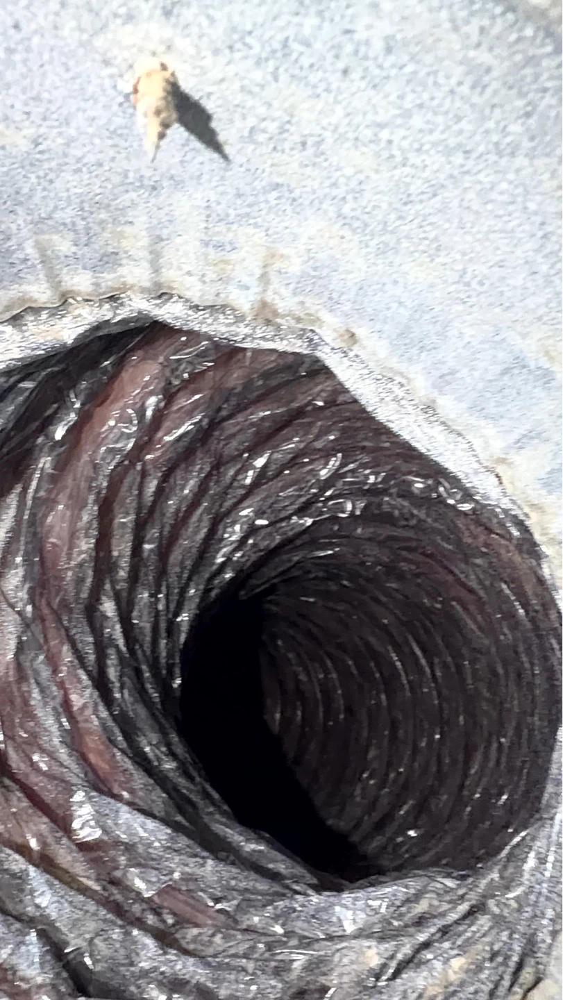 Cleaning Trane Air Conditioner Unit - photo 4
