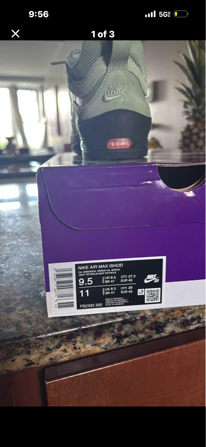 Nike Air Max Ishod SB Shoes