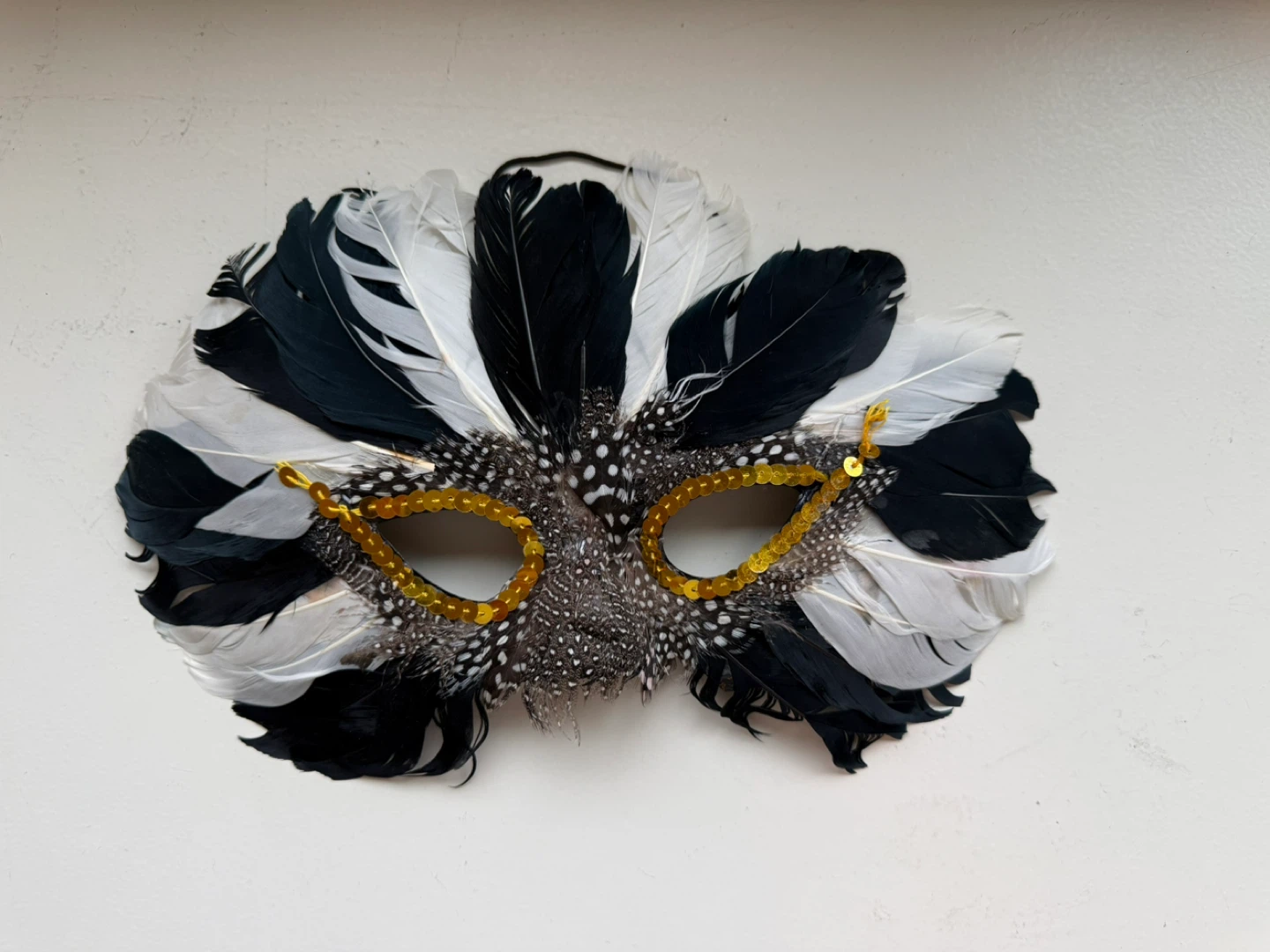 Feathered Masquerade Mask