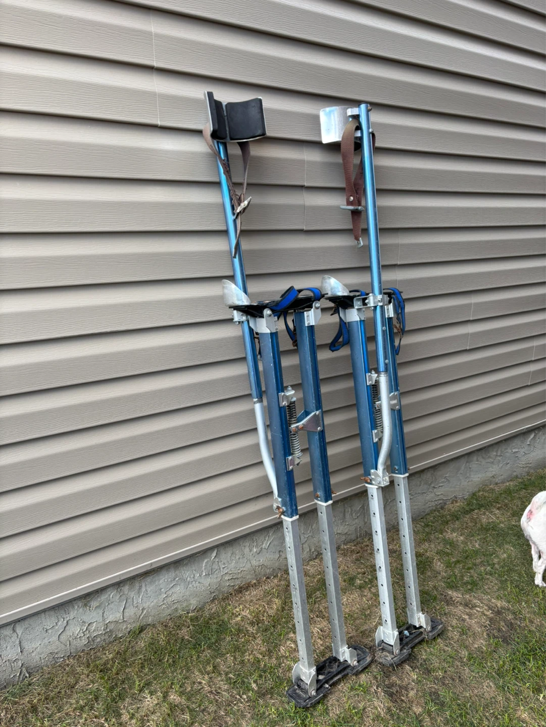 Blue Drywall Stilts