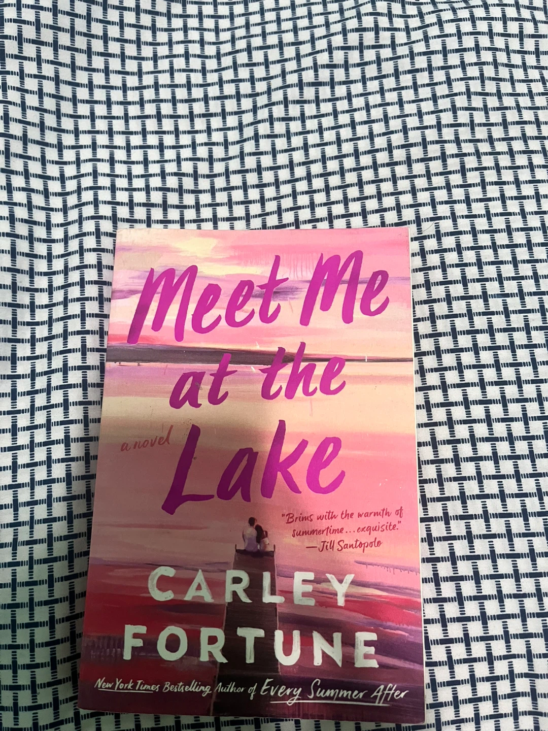 Meet Me at the Lake by Carley Fortune Novel