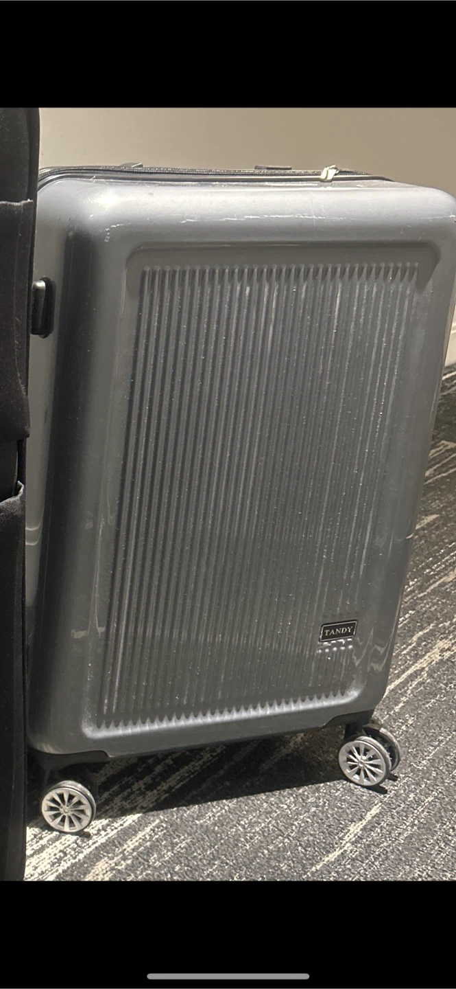 24" Grey Hard-Shell Checked Luggage