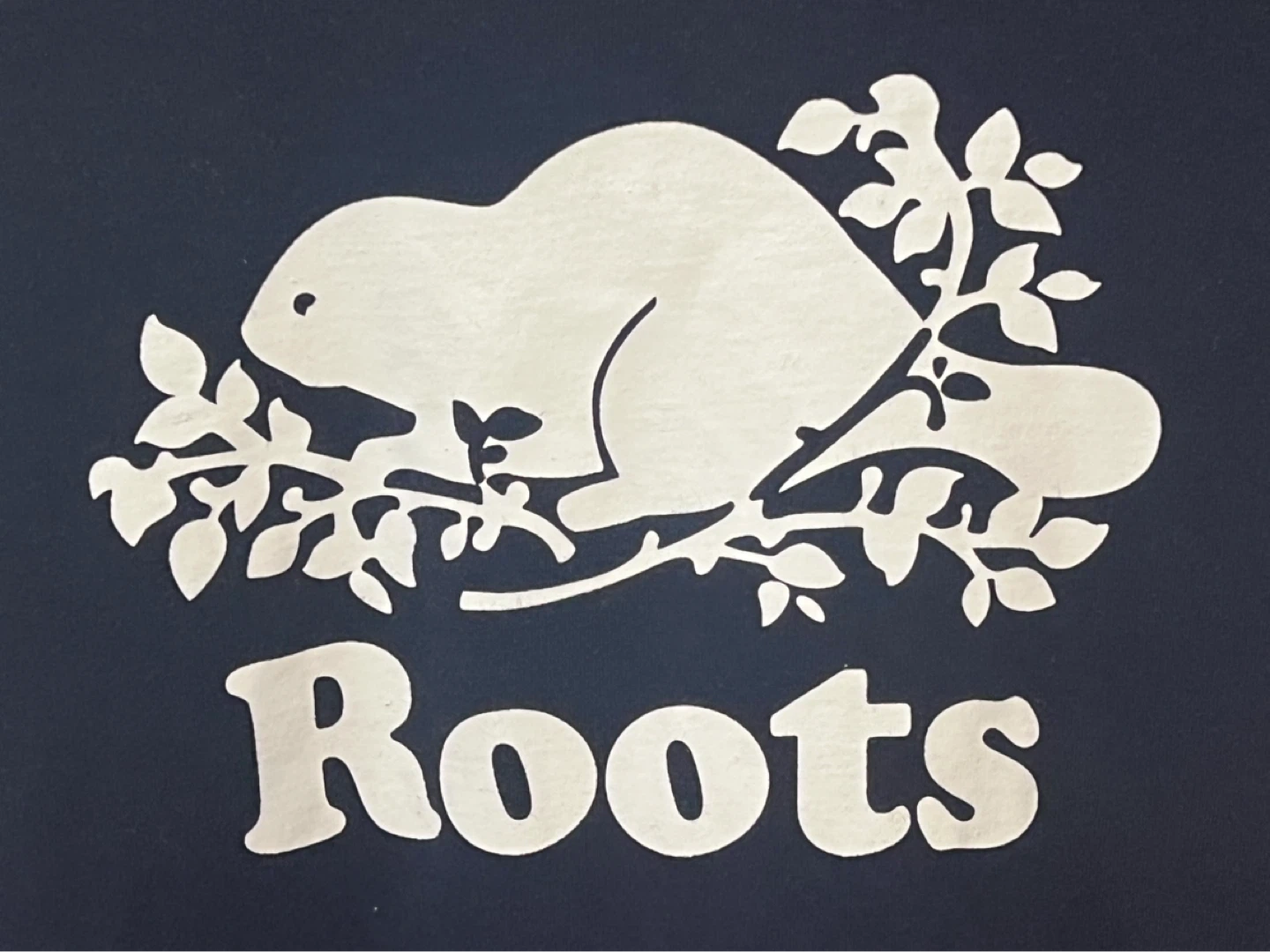 Roots Kids Long Sleeve Shirt – XL (13-14 Years) 🍁 - photo 5