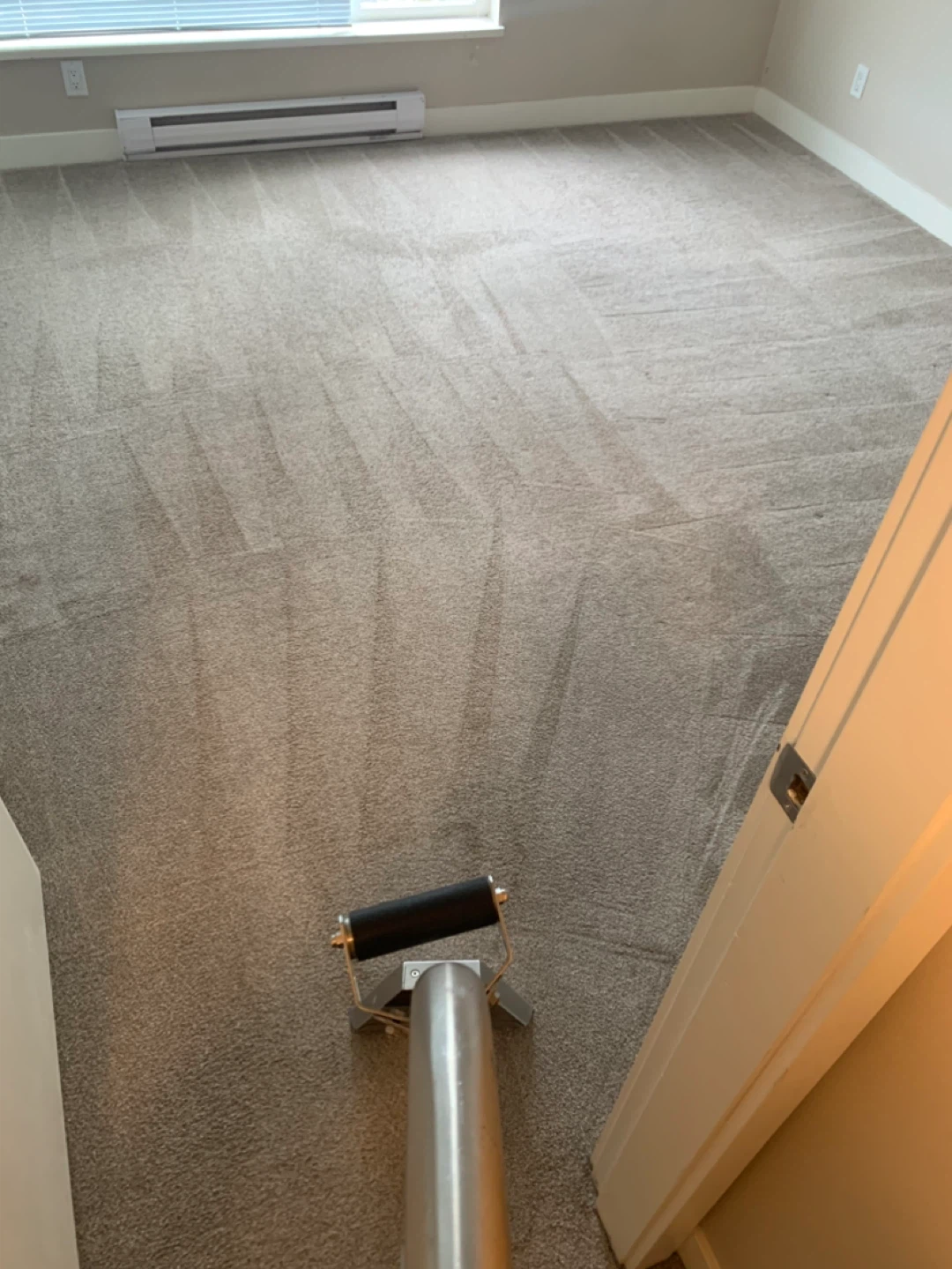 Professional Carpet & Upholstery Cleaning Services - photo 2
