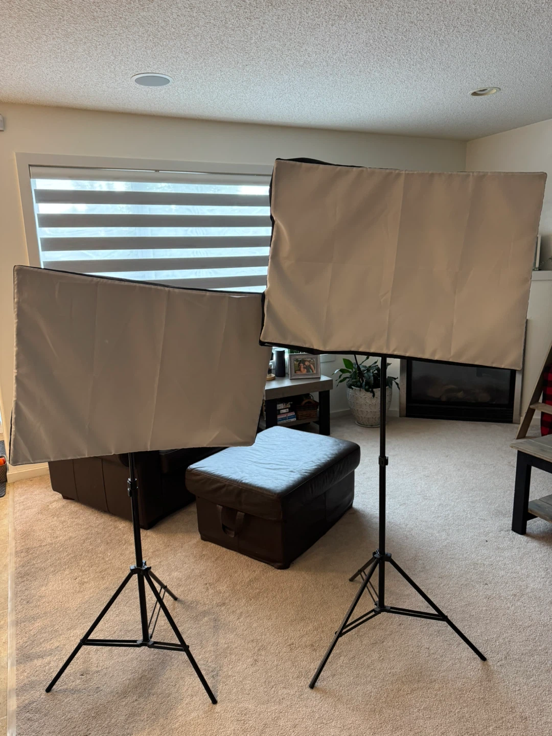 MT-160 Studio Strobe Lighting Kit with Accessories