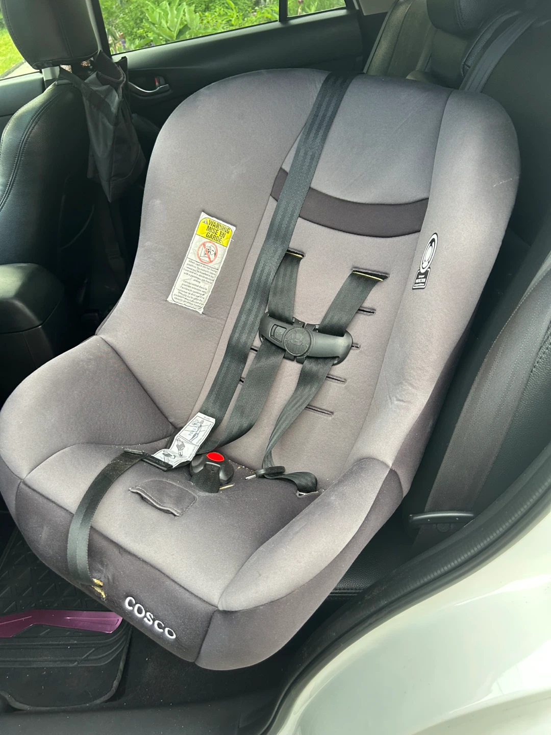 Cosco Car Seat