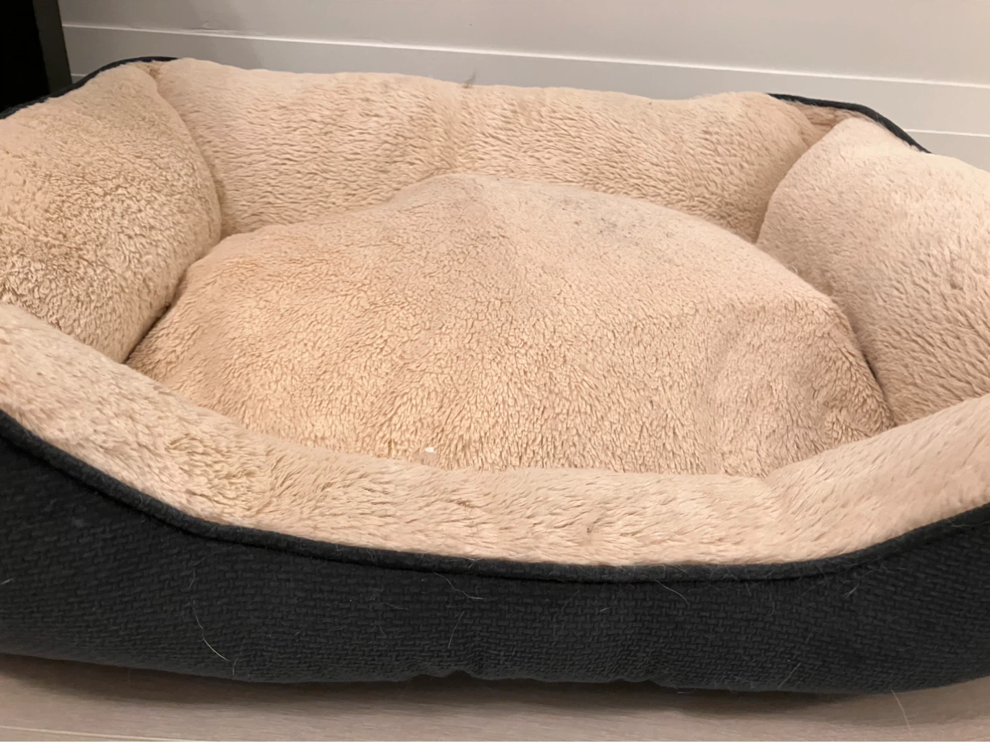 Bed for cats/ small dogs - photo 3