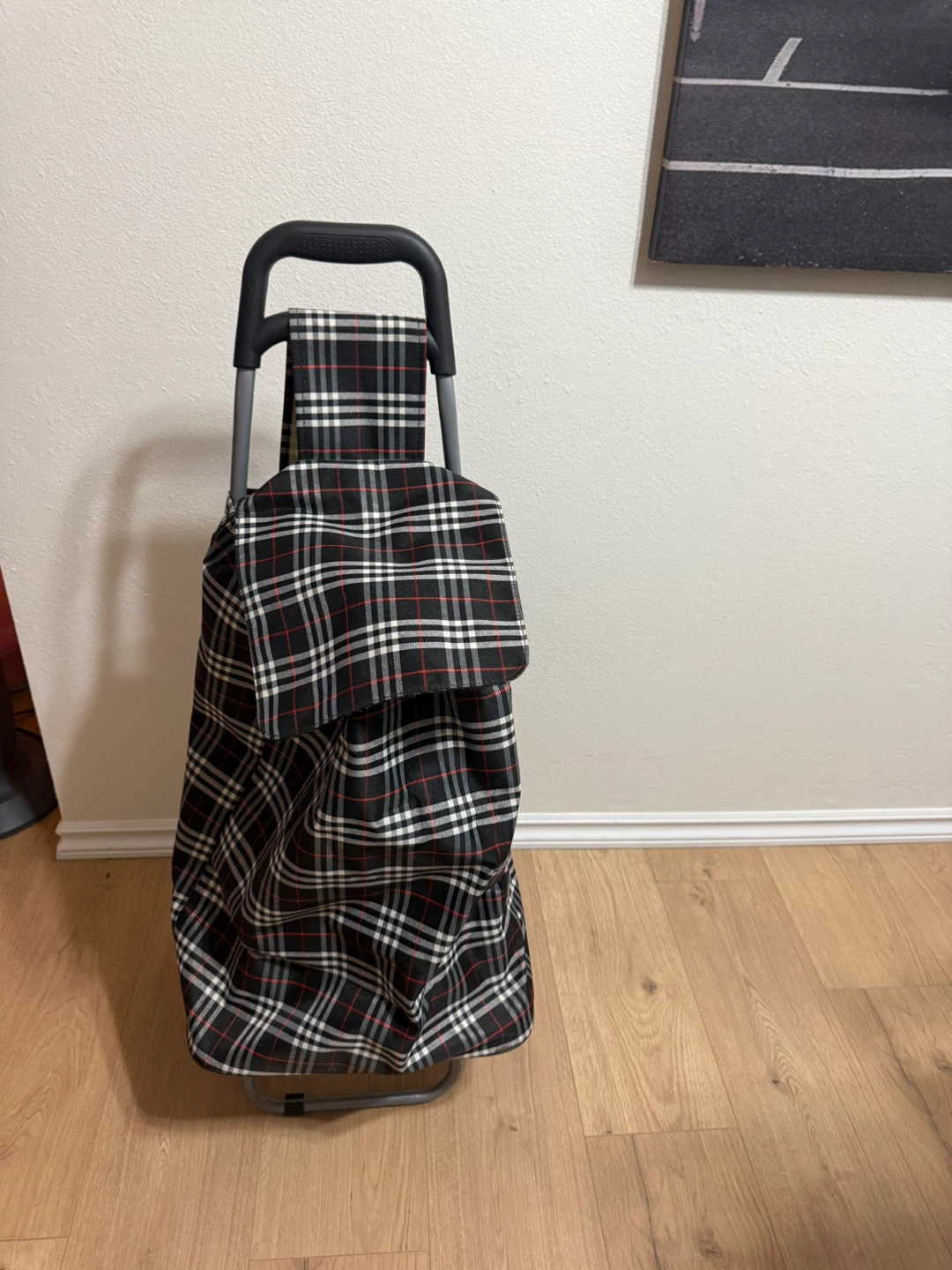 Shopping Trolley Bag