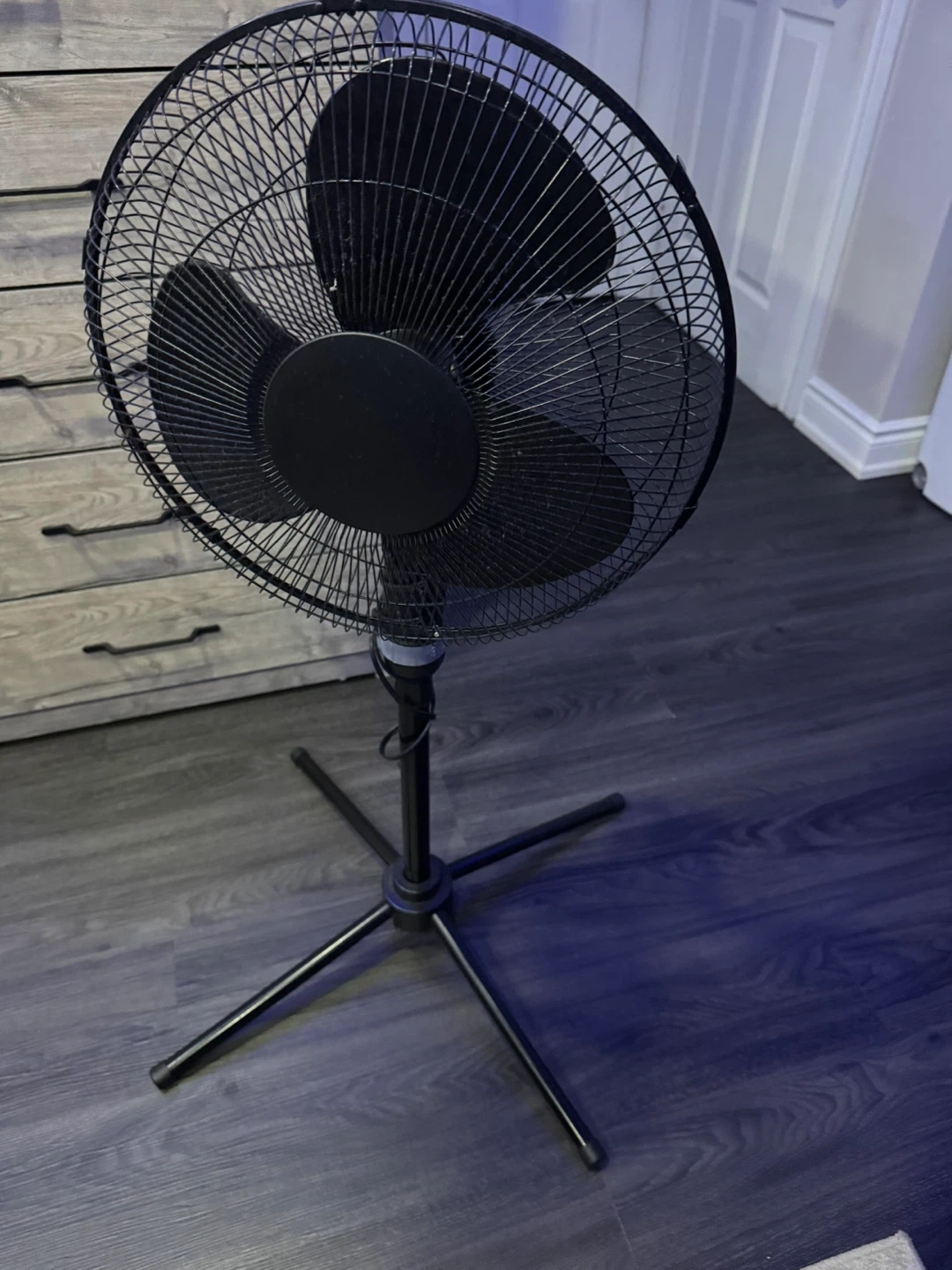 Black Floor Fan