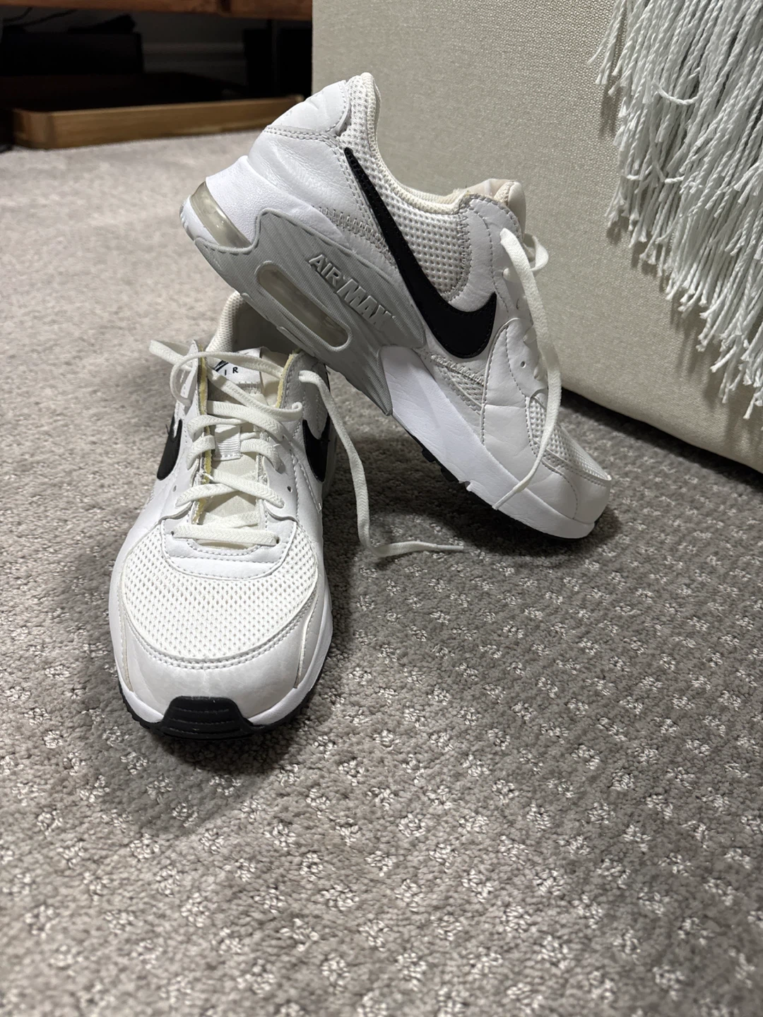 Nike Air Max Sneakers